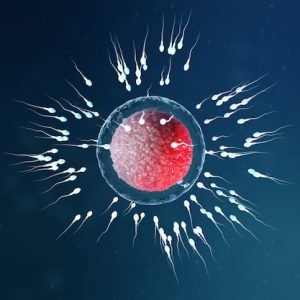 3d-illustration-sperm-egg-cell-ovum-sperm-approaching-egg-cell-native-natural-fertilization-conception-beginning-new-life-ovum-with-red-core-microscope-movement-sperm_92790-524