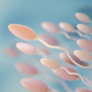 beautiful-fertility-concept-3d-rendering_23-2149230675