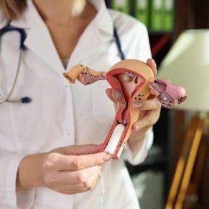 woman-gynecologist-demonstrating-female-reproductive-system-model-hygienic-tampon_151013-47212